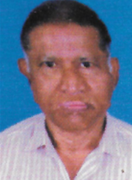 Gregory Menezes